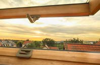 rated Rhyd Y Brown roof window companies